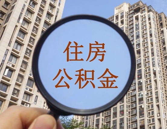 沧县辞职后如何领取公积金（辞职公积金怎么领取）